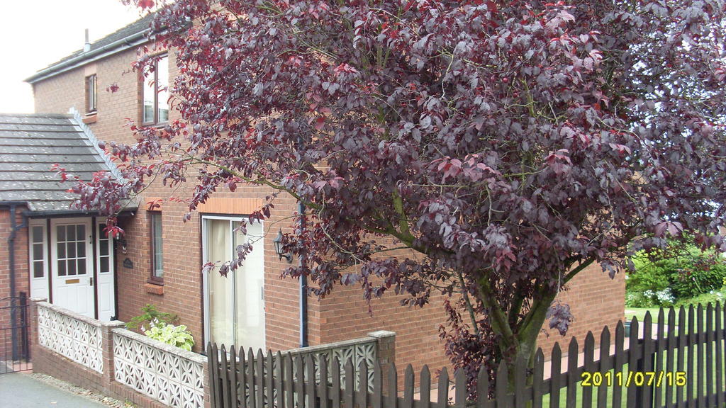 Briardale Lazonby Bagian luar foto